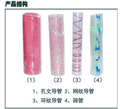手作植物导管筛管模型 初中生物教学的直观利器